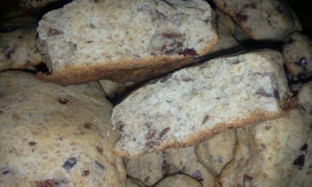 Biscuiți cu merișoare și făină integrală