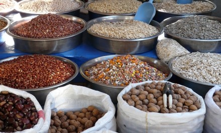 Nucile și semințele în alimentație