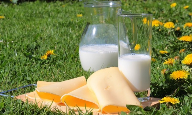 Laptele și produsele lactate
